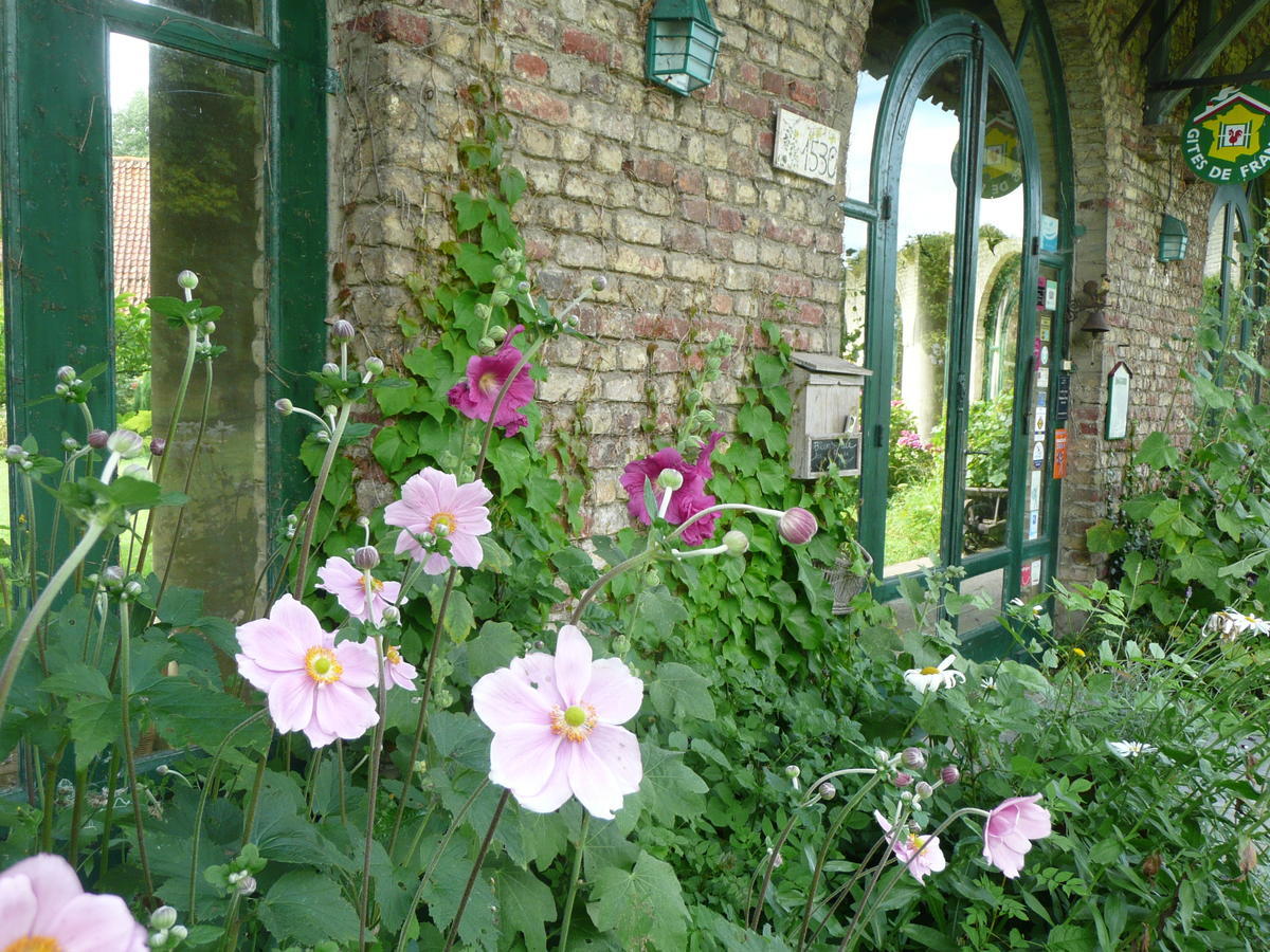 Bed and Breakfast Manoir De Bois En Ardres Exteriér fotografie