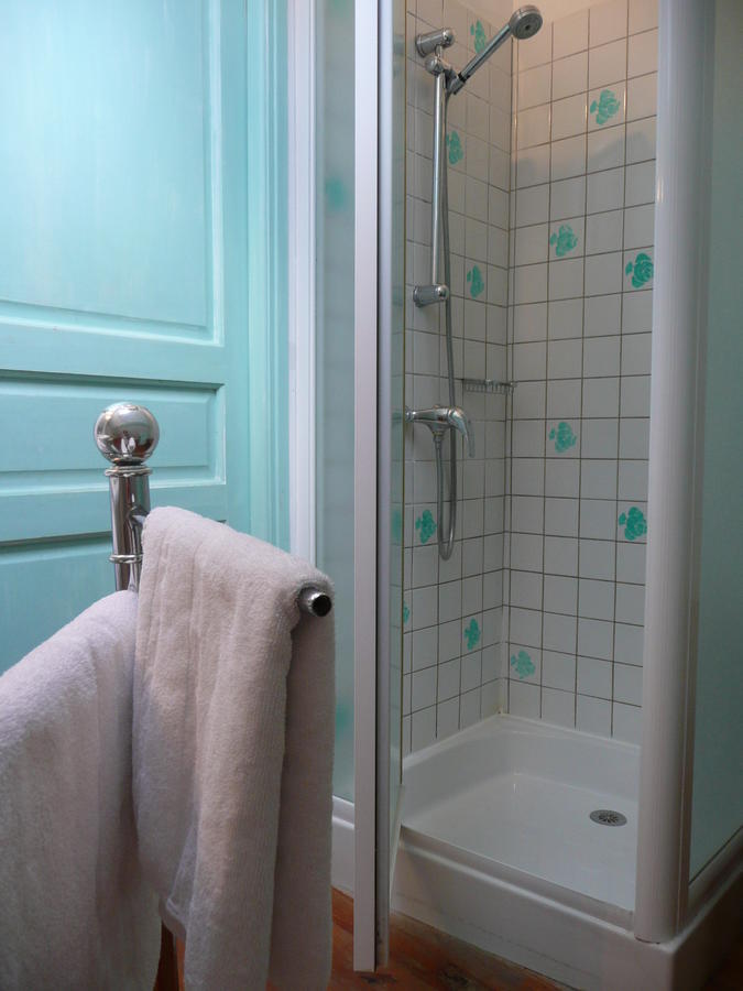 Bed and Breakfast Manoir De Bois En Ardres Pokoj fotografie