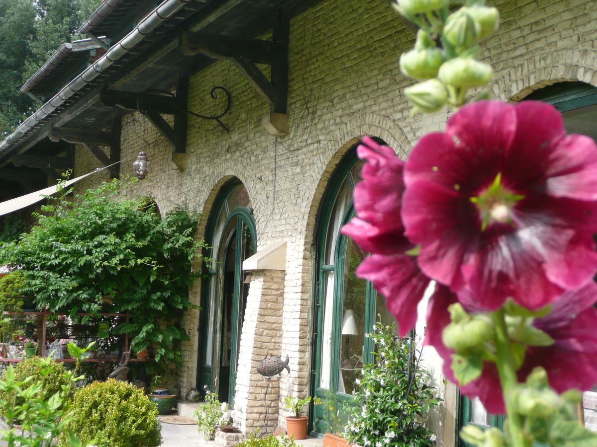 Bed and Breakfast Manoir De Bois En Ardres Exteriér fotografie